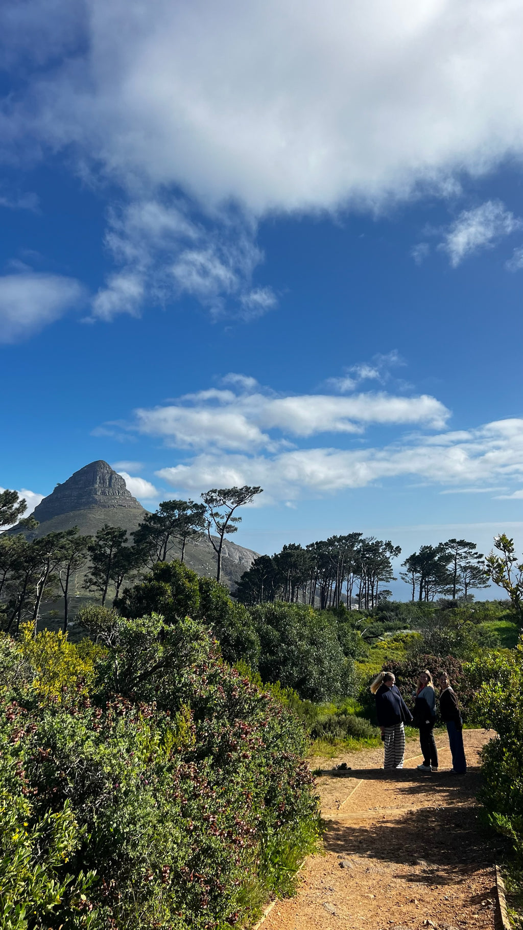 Capetown Travel Map (English)