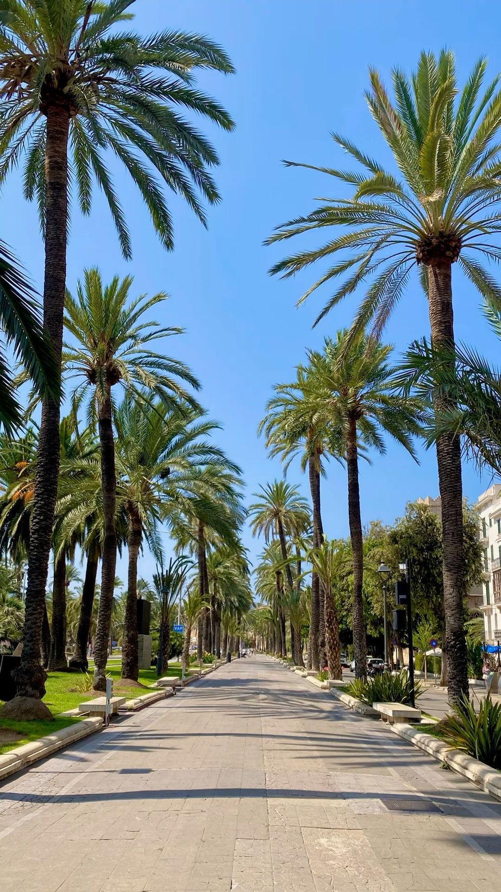 Mallorca Reisekarte (Deutsch)