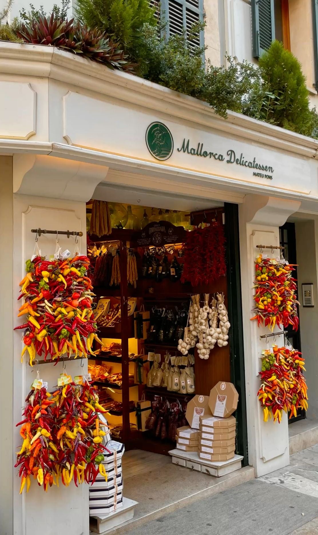 Mallorca Travel Map (English)