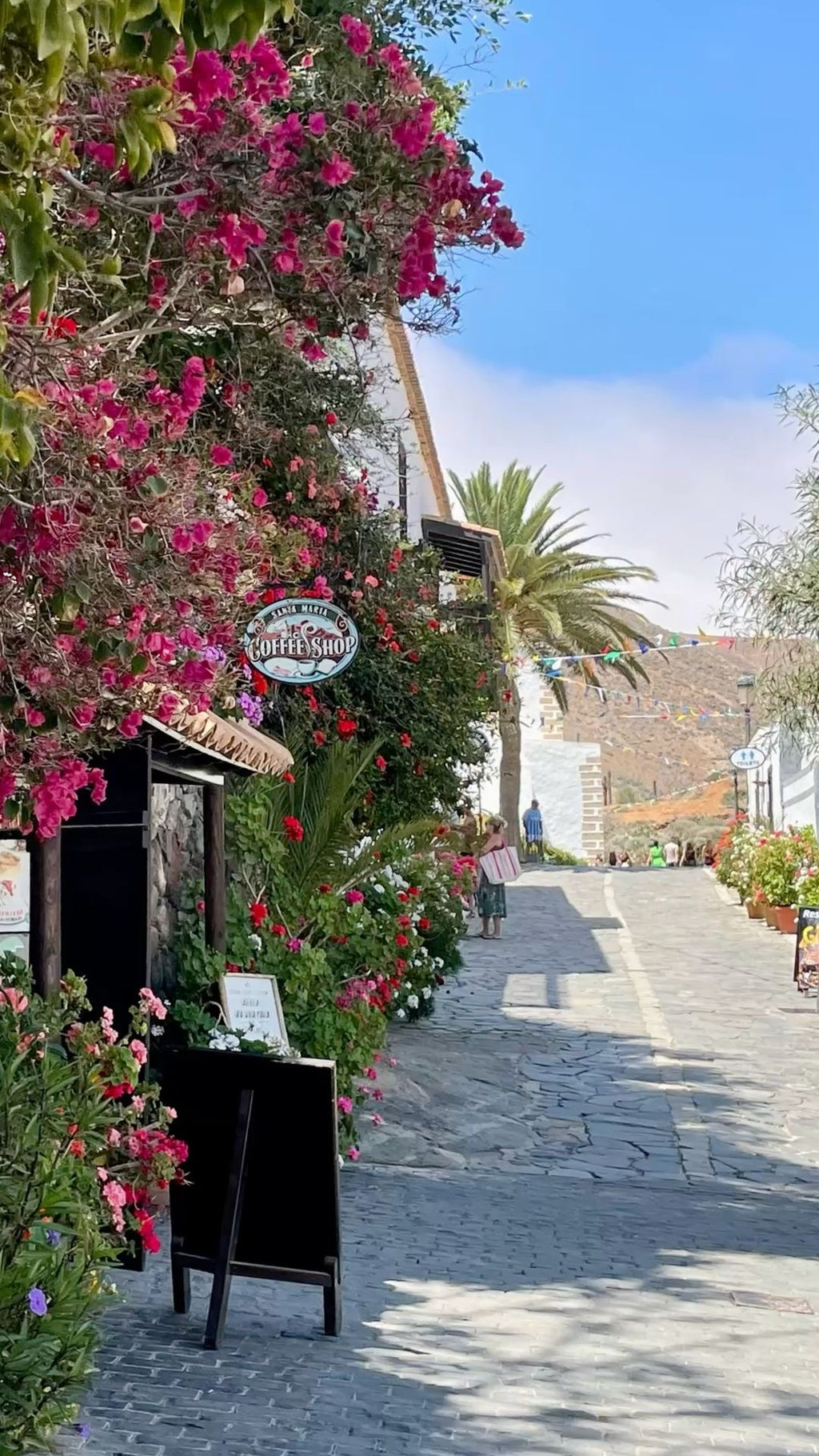 Fuerteventura Reisekarte (Deutsch)